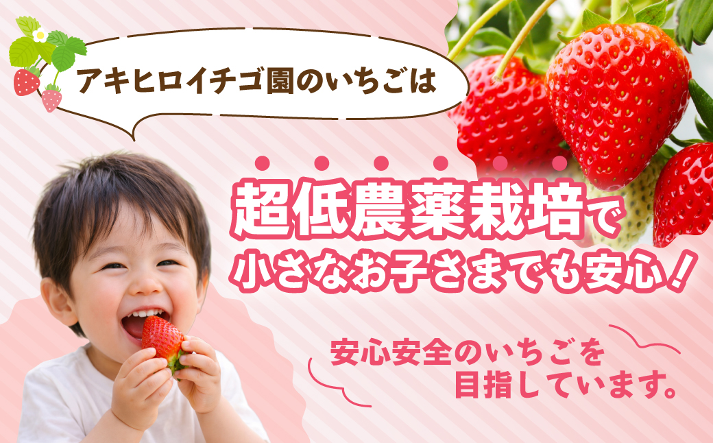 やよいひめ DX 約400g ×2パック（箱入り）800g
