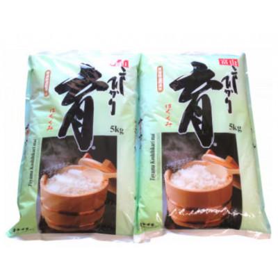 ふるさと納税 南砺市 【毎月定期便】富山県産こしひかり　育(はぐくみ)白米5kg×2袋セット《南砺の逸品》全12回