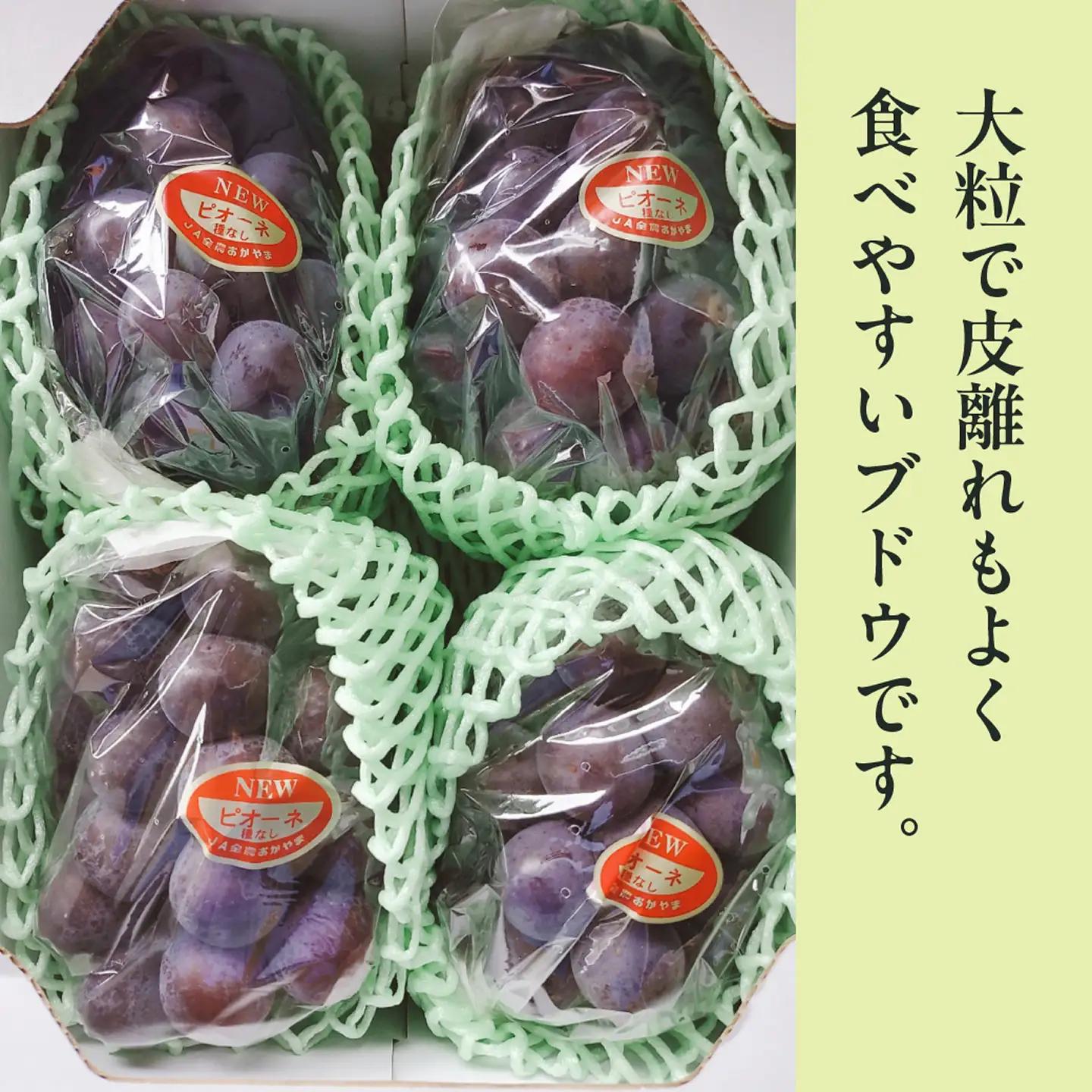 【2026年発送分 先行受付スタート！】岡山県産ニューピオーネ 　秀品　約2kg（3～5房程度）（令和8年8月中旬以降発送）【ニューピオーネ】