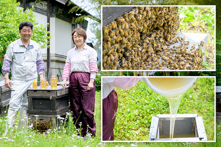 秋田県産はちみつ（トチ・リンゴ・百花）250g×各1本 合計750g 化粧箱入り 詰め合わせセット 田沢湖養蜂場