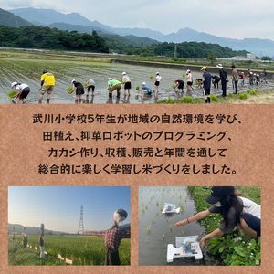 【令和6年度米】武川小学校5年生と作った よんぱち米（農林48号）5kg 米 令和6年度米 白米 武川小学校5年生と作った よんぱち米 5kg 農林48号 無農薬 有機肥料 幻の米 希少 数量限定 山