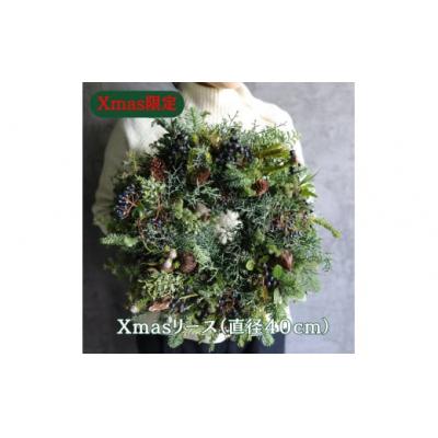 ふるさと納税 春日井市 Xmas限定　クリスマスリース Φ40　花　インテリア　クリスマス　リース　ドライフラワー　おしゃれ