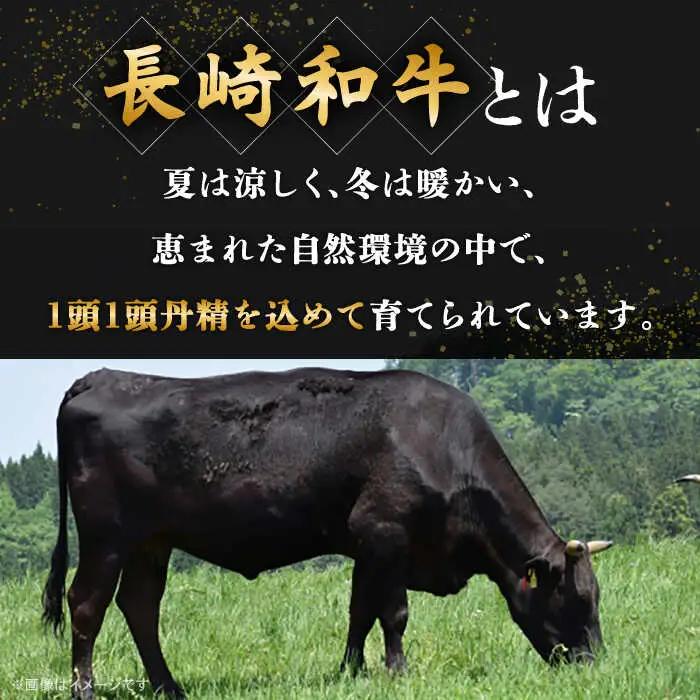 長崎和牛 ローストビーフ用 モモ肉 約500g [QBD016] ローストビーフ モモブロック 料理 アレンジ