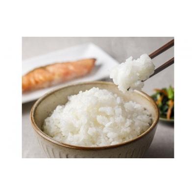 ふるさと納税 宝達志水町 のと米 こしひかり 精米 30kg [はくい農業協同組合 石川県 宝達志水町 38601251] |  | 01