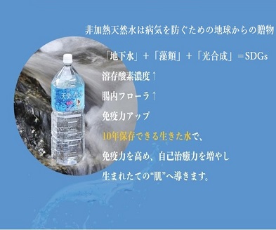 『天使の希水』500ml×24本入り(計12L):B170-003