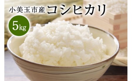 令和5年産 特別栽培米コシヒカリ 5kg こしひかり お米 白米 リピーター続出 特別栽培 天然肥料 茨城県 小美玉市 14-C