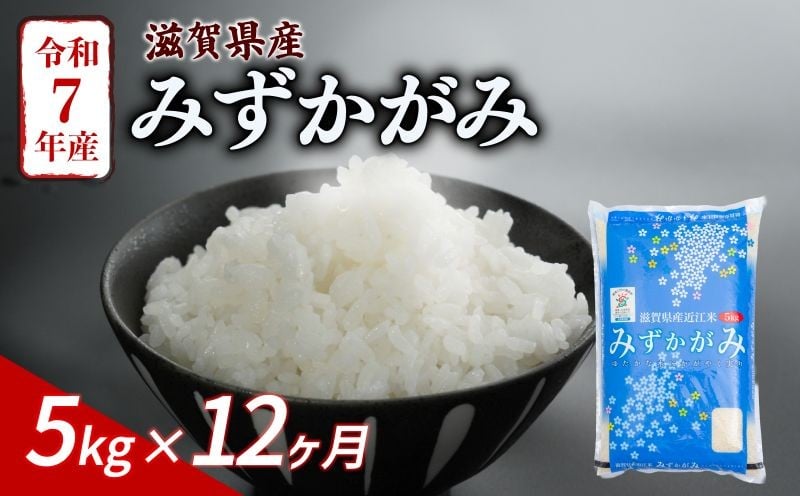 
            みずかがみ 5kg 12ヶ月定期便 令和7年産 米 こめ ご飯 米 定期便 12回定期便 12か月定期便 12回 12か月 5キロ 令和7年 おすすめ 滋賀 彦根
          