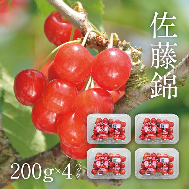 【ふるさと納税】＜先行予約＞ さくらんぼ 佐藤錦 秀品 L 800g 200g×4 パック 農家直送 山形県 朝日町産 農産物 フルーツ 山形産 バラ詰め サクランボ 高級 果物 初夏 送料無料