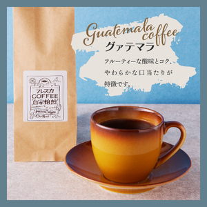 コーヒー フレスカ特注 グァテマラコーヒー豆 200g 珈琲