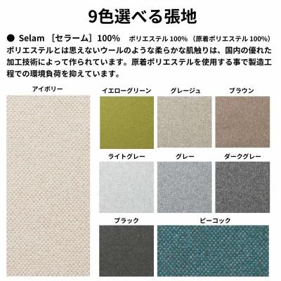 ふるさと納税 出雲市 椅子 ダイニングチェア チェア イス いす 天然木 北欧 家具 Coccole C206 2脚 |  | 03