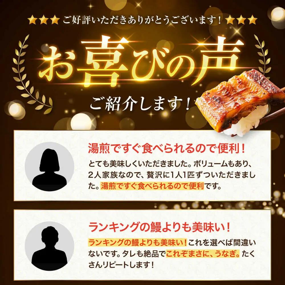 うなぎ 蒲焼き2尾 蒲焼き  [AGAH001]