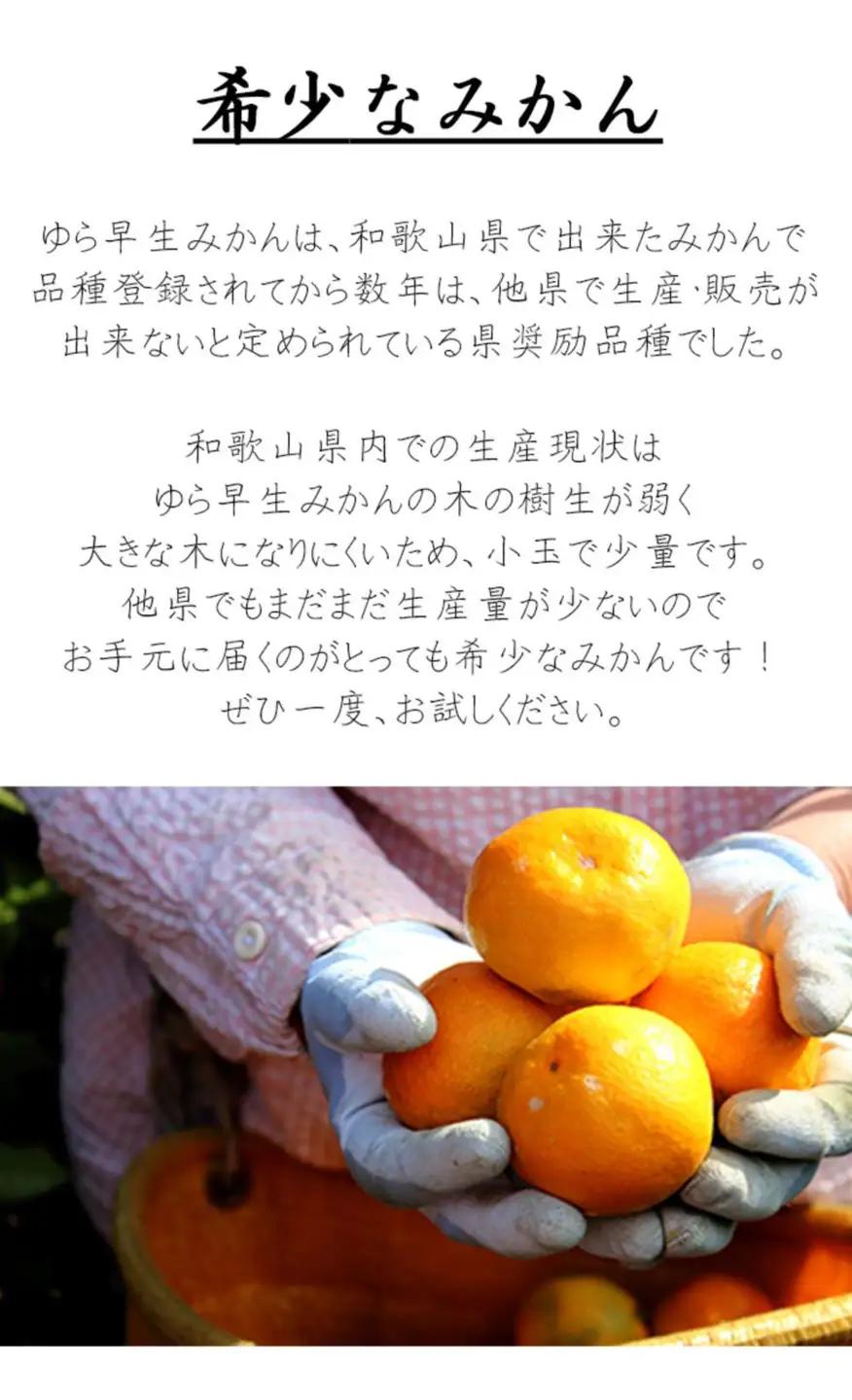 訳あり 極早生みかん ゆら早生 2S・3S混合 5kg 和歌山みかん