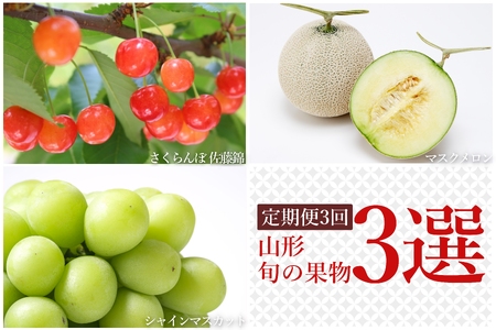 【2025年6月～10月発送】【定期便3回】山形旬の果物3選（佐藤錦/メロン/シャインマスカット）_H236(R7)