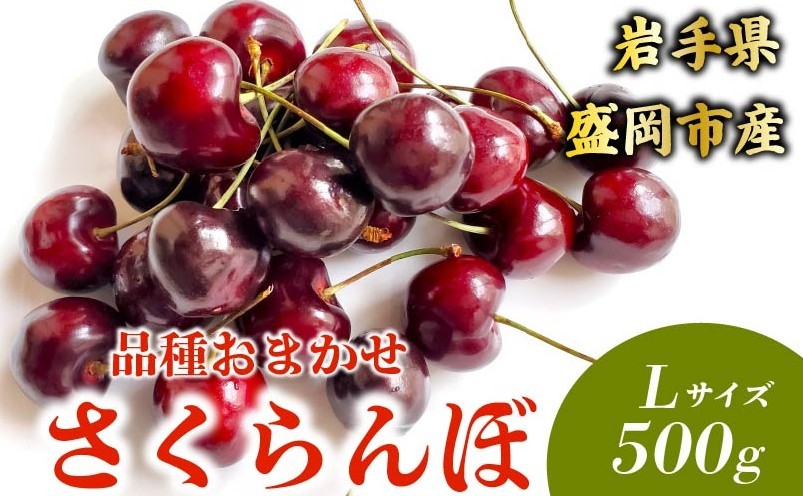 
                  【先行予約】 さくらんぼ 品種おまかせ（紅さやか/小夏） L 500g 6月下旬発送 大粒 果汁 甘 ジューシー 人気 果物 フルーツ 国産 産地直送 お取り寄せ 贈り物 岩手県 盛岡市 東北 岩手 盛岡 田屋果樹園 taya009
                