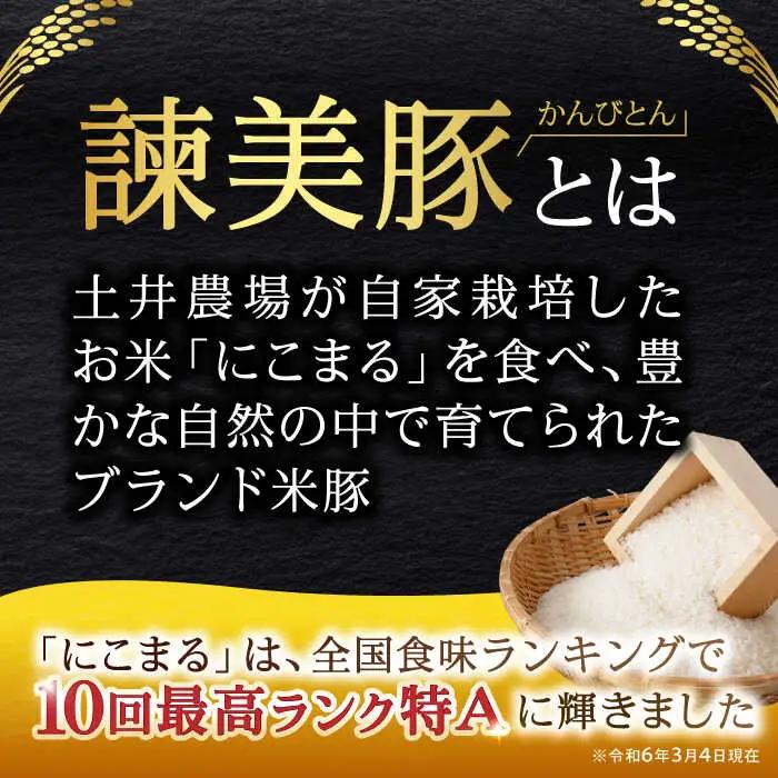 諫美豚バラ肉 800g AHAD075 豚バラ