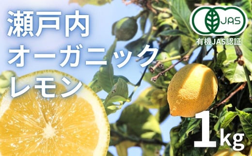 [予約] 2〜3月発送 瀬戸内オーガニックレモン 約1kg(8〜12個程度) 有機JAS認証 国産 せとうち 広島 大崎上島 離島 有機栽培 柑橘 果物 オーガニック フルーツ ギフト 防腐剤不使用 ワックス不使用 無添加 安全 安心 送料無料 産地直送 中原観光農園