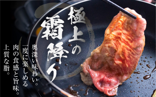 飛騨牛 霜降り すき焼き・しゃぶしゃぶ用 600g 