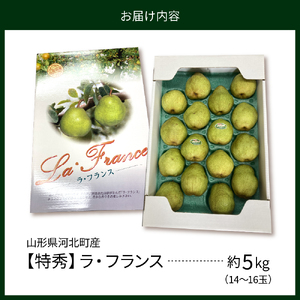 【令和7年産】食べ頃がわかる！ 洋梨「ラ・フランス」 特秀 約5kg（14玉～16玉） 山形県河北町産 【河北町観光物産協会】