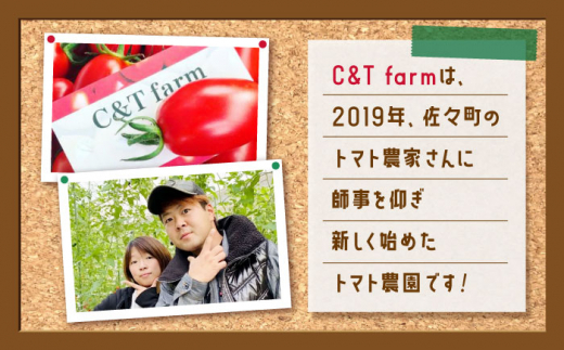 【甘くてジューシー】ミニトマト アイコ 1.0kg【C&T farm】 [QBG001]