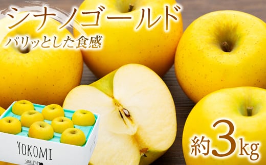 【2025年/令和7年度発送分！】パリッとした食感の シナノゴールド 約3kg りんご リンゴ 林檎 長野 フルーツ 果物 信州産 長野県産 特産 産地直送 おすすめ 　[№5675-1145]