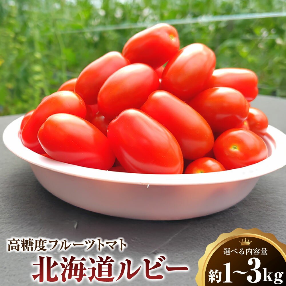 【ふるさと納税】＜選べる内容量＞ミニトマト「北海道ルビー」 約1kg（6パック）・約2kg（バラ）・約3kg（バラ） とまと 高糖度 フルーツトマト 野菜 冷蔵 北海道産 国産 北海道 浦臼町 送料無料 【2025年11月下旬迄発送】