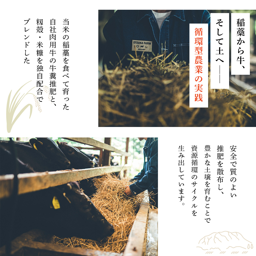 ＜令和8年産 新米 コシヒカリ 岩瀬川清流米 3kg＞ 3キロ こしひかり お米 コメ こめ 白米 精米 ご飯 穀物 鮮度 特産品 愛媛県産 西予市産 宇和町産 OTSUKAFARM 愛媛県 西予市