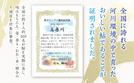 先行予約【2024年7月末～9月上旬発送】高原川の天然鮎10～16匹 鮎 あゆ アユ 川魚 魚 サカナ 天然 冷凍 [Q1351] seas47