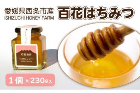 石鎚養蜂の百花はちみつ（1個）｜ 純粋蜂蜜