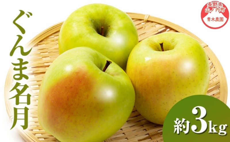 【2026年11月発送】 ぐんま名月約3kg 7～9玉 りんご 長野県産
