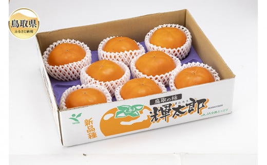 B24-331 鳥取県産輝太郎（きたろう）柿　3kg【期間･数量限定】
