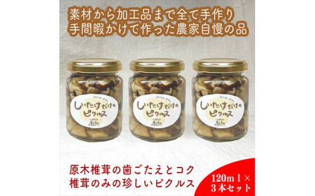 しいたけだけのピクルス 3個セット【 家庭用 自宅用 贈答品 贈答用 ギフト お取り寄せ お中元 お歳暮 贈り物 お祝い 神奈川県 小田原市 ピクルス ピクルス ピクルス ピクルス ピクルス】