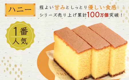 カステラ ざんまい 5枚カット×2箱 （ハニー×2） [QBL005] かすてら カステラ 長崎かすてら 長崎カステラ