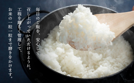 令和7年産　純情米いわて　岩手県産　さくらひとめぼれ　10kg