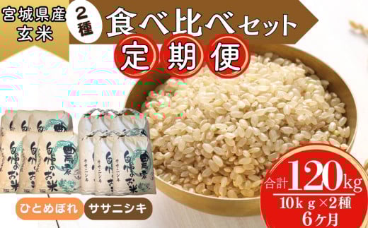 【令和6年産】 【新米】 ササニシキ・ひとめぼれ（玄米）10kg×2種 食べ比べセット 6ヵ月定期便（20kg×6回） 【定期便】宮城県 東松島市 米 こめ オンラインワンストップ 対応 自治体マイページ W