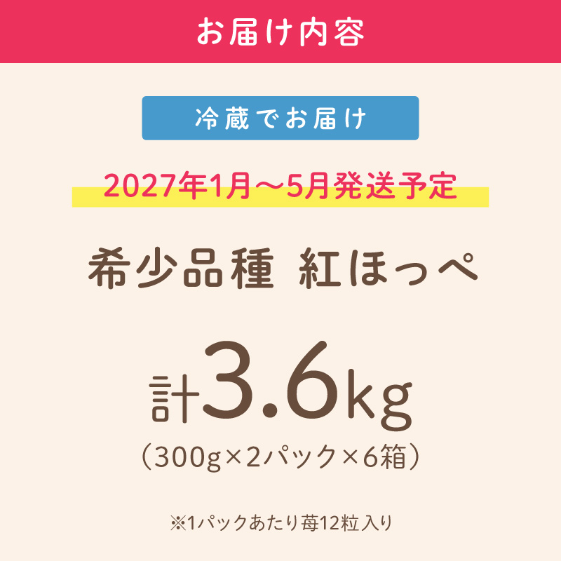【2027年1月～5月発送予定】【いちご本来の甘酸っぱさを味わう】定番人気 紅ほっぺ 約3.6kg（約300g×2パック×6箱）※お届け不可地域あり【121B-004-2027】