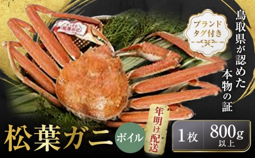 【先行予約】ブランドタグ付き 松葉ガニ（ボイル）1枚（800g以上）【年明け配送】【松葉がに 松葉蟹 ズワイガニ 蟹 カニ かに 国産 人気 おすすめ 鳥取県 琴浦町 送料無料】