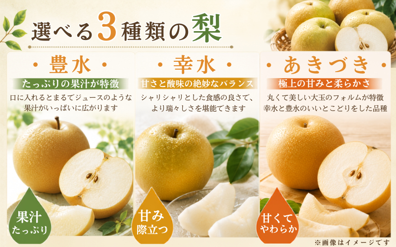 白鳳梨（豊水）3L  14玉 ※お届けは9月上旬から9月中旬頃の予定です【hkns0001】
