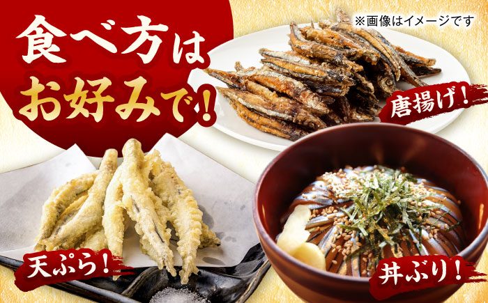 五島漁師のきびなご入門　お刺身キビナゴ15尾＆まるごとキビナゴ150g×2パック 五島市/Sun Sea Go Company [PGL025]