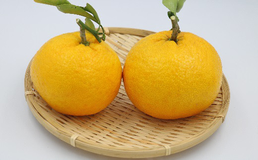 無農薬、ワックス不使用の安心・安全な夏みかんです(出荷時には葉は落としてお送りします)。