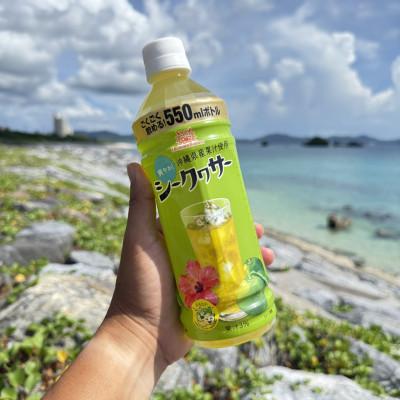 ふるさと納税 本部町 沖縄ボトラーズのシークヮサードリンク 550ml×24本 |  | 03