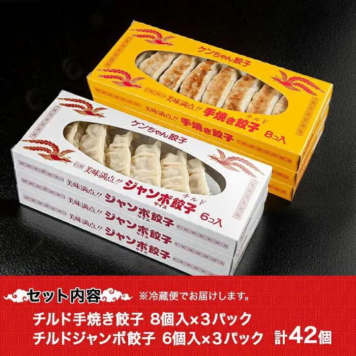 新潟県 南魚沼市 チルド手焼き餃子・ジャンボ餃子 食べ比べ セット 各3パック 計42個 ケンちゃん餃子 冷蔵 中華 点心 惣菜 ビール お取り寄せ グルメ