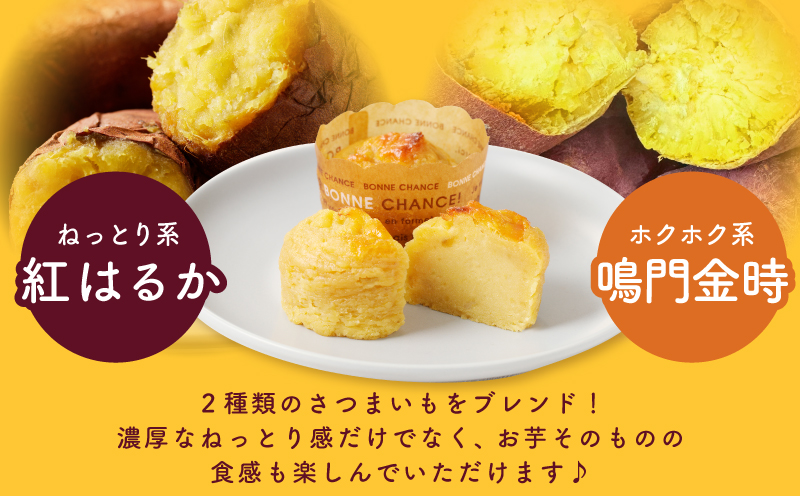 【圧倒的企業努力】芋匠さのや特製 濃厚スイートポテト+さのやチップス（プレーン味）付き 010B1759