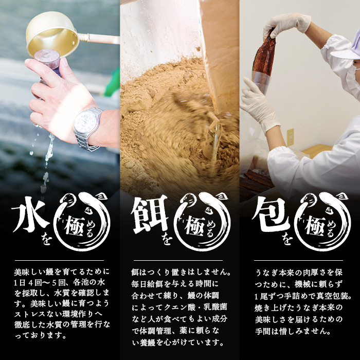 楠田の極うなぎ蒲焼き 130g以上×3尾(計390g以上) 焼肝2袋付き b0-040