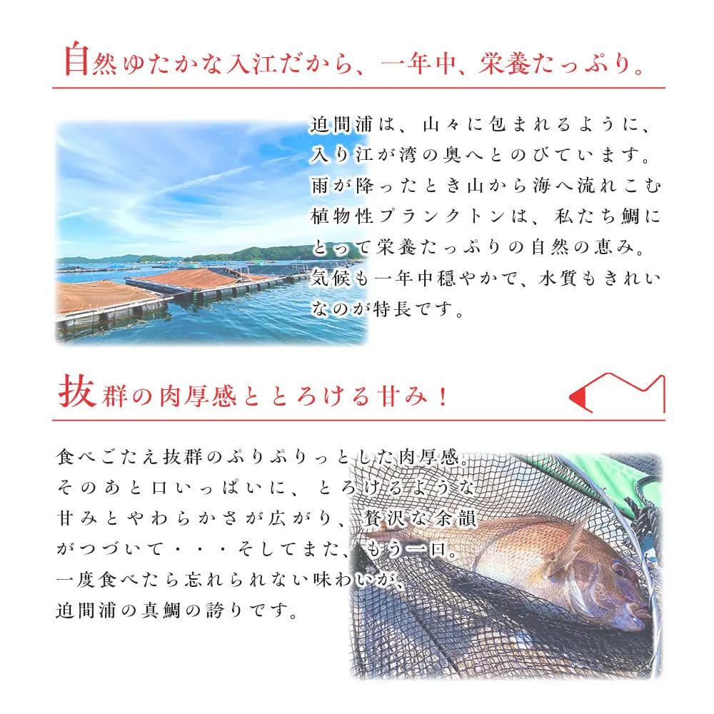 （冷蔵）【２尾】ジュワっと旨み溢れるブランド真鯛 スキンレス 皮あり ／ はさま あなたに逢い鯛。 鯛 真鯛 刺身 しゃぶしゃぶ 鯛めし 三重県 南伊勢町 伊勢志摩
