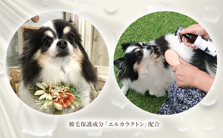 【犬用】リニューアル プロテインミスト 200ml ・詰替用 400ml セット 雑貨 日用品 ブラッシングスプレー 