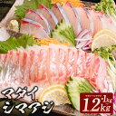 【ふるさと納税】真鯛 シマアジ 各 1尾分 約 1kg ～ 1.2kg 刺身用 アラ付き 脂がのった 小分け 真空パック 刺身 しゃぶしゃぶ 寿司 茶漬け 塩焼き 味噌汁 タイ 海鮮 鯵 結城水産 お取り寄せ お取り寄せグルメ 宮崎県 延岡市 送料無料