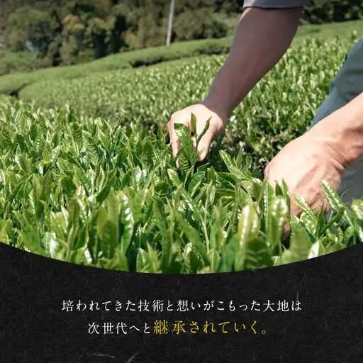 発酵和茶Trinitea 二番茶リーフタイプ 和紙化粧箱入り / ヨリスグリ[AWBV006]和紅茶ギフト