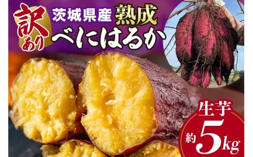 訳あり品！茨城県産熟成べにはるか 約5kg さつまいも サツマイモ 芋 いも 茨城県 那珂市 B15-005