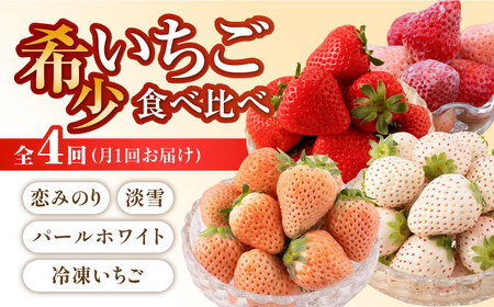【先行予約】【4回定期便】希少いちご 赤白食べ比べ / いちご [IZZ005]