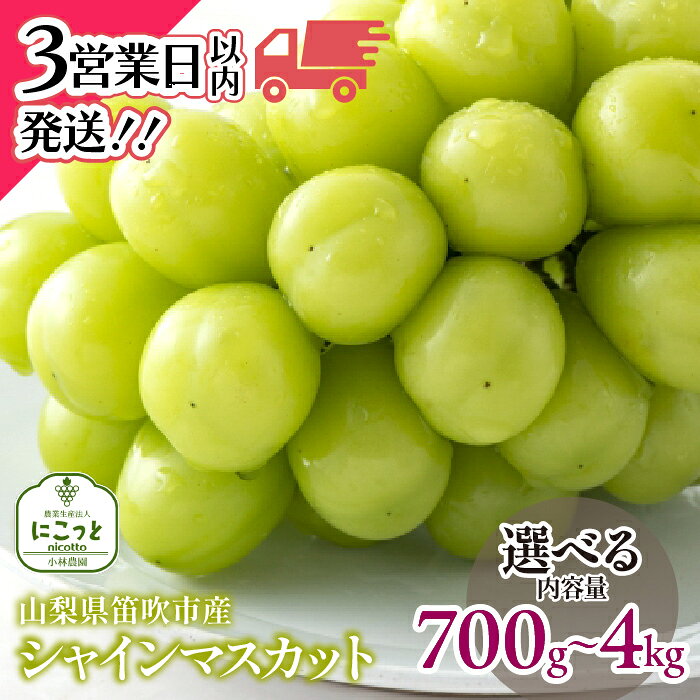 【ふるさと納税】笛吹市産 シャインマスカット【選べる容量 700g〜】 笛吹市 国産シャインマスカット 葡萄 果物 甘い デザート おやつ 山梨県 送料無料 097-004